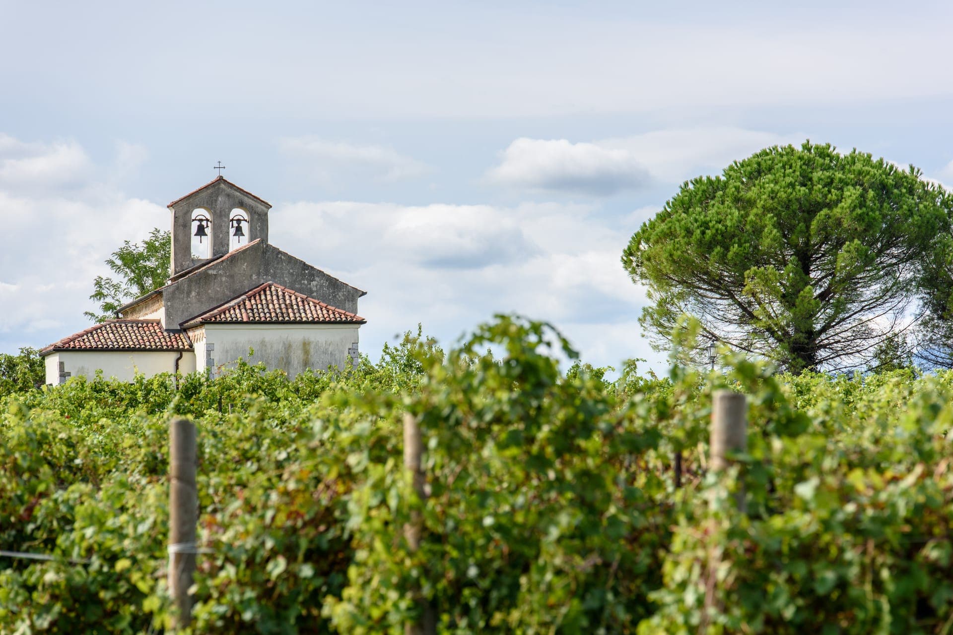 Église au milieu des vignes du Médoc